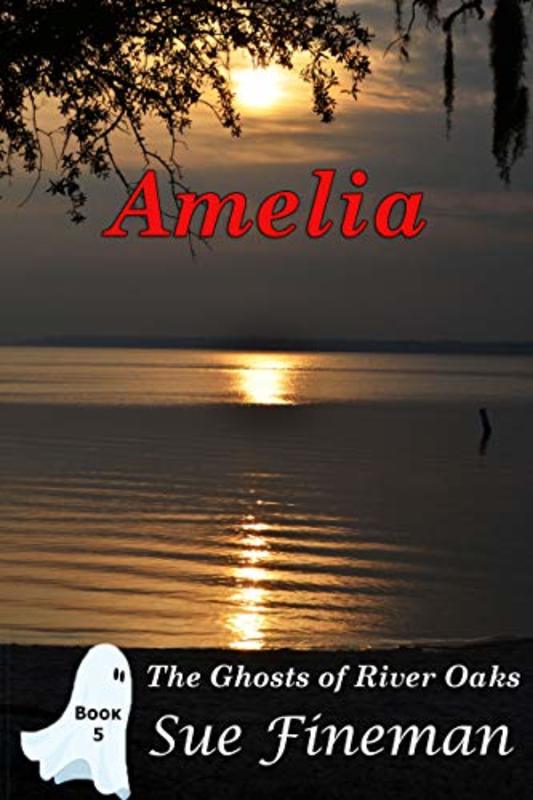 Book cover for "Amelia" by Sue Fineman