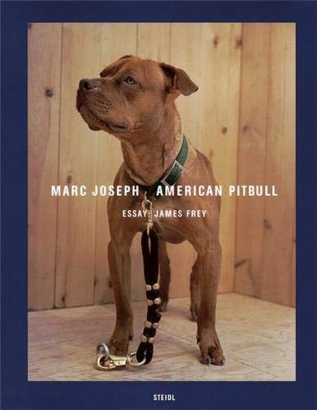 Book cover for "American Pitbull" by James Frey