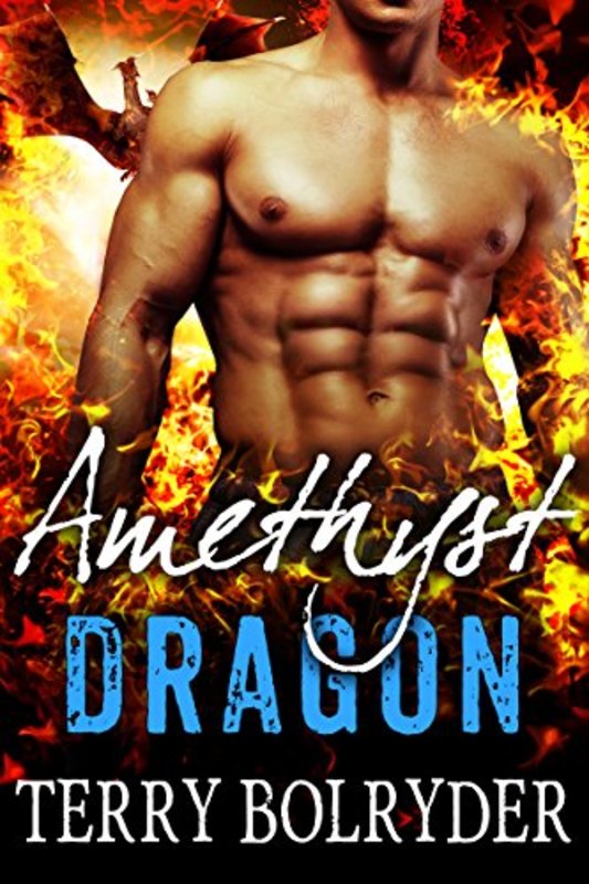 Book cover for "Amethyst Dragon" by Terry Bolryder