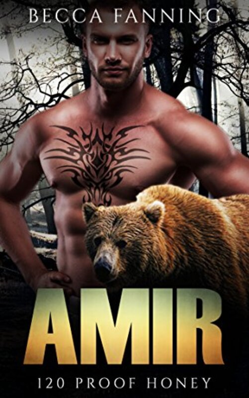 Book cover for "Amir" by Becca Fanning