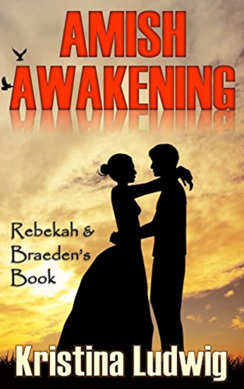 Book cover for "Amish Awakening" by Kristina Ludwig