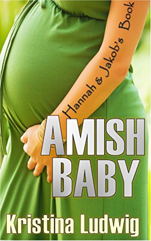 Book cover for "Amish Baby" by Kristina Ludwig