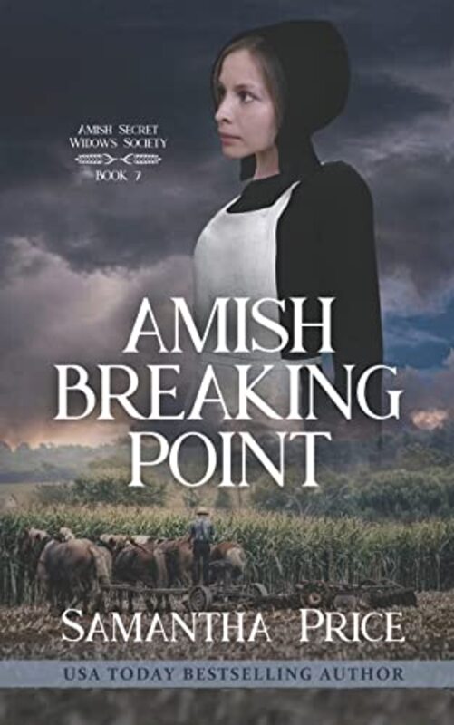 Book cover for "Amish Breaking Point" by Samantha Price