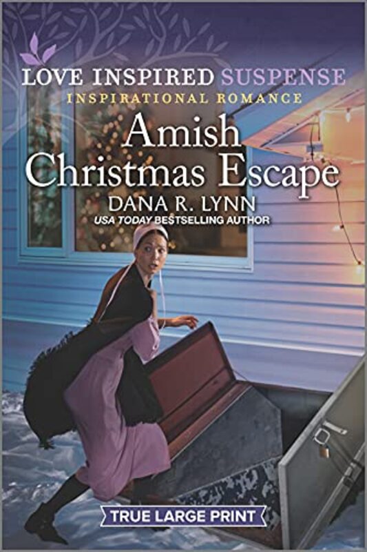 Dana R Lynn book cover