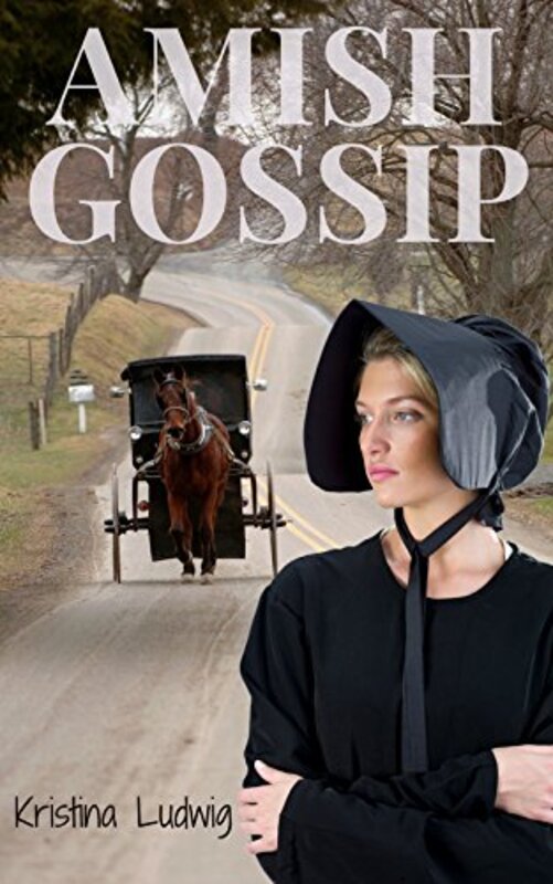Kristina Ludwig book cover