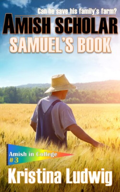 Book cover for "Amish Scholar" by Kristina Ludwig