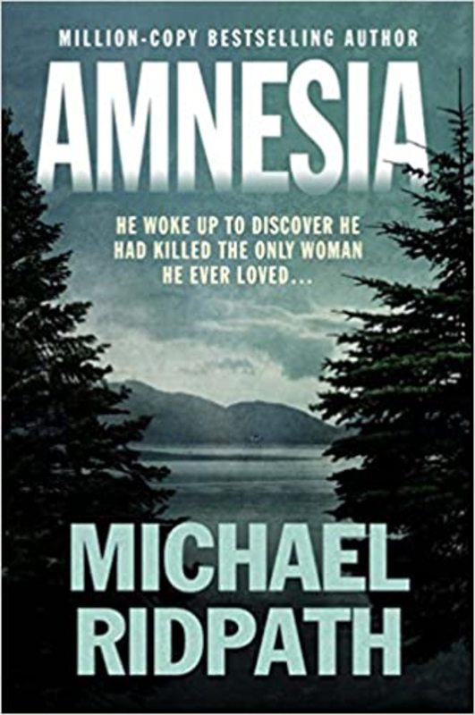 Book cover for "Amnesia" by Michael Ridpath