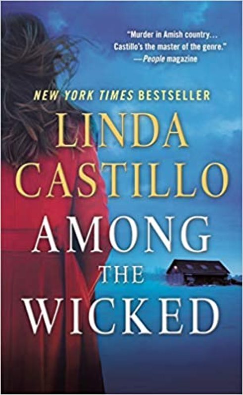 Book cover for "Among the Wicked" by Linda Castillo