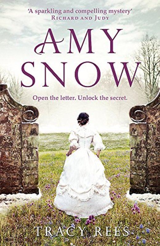 Book cover for "Amy Snow" by Tracy Rees