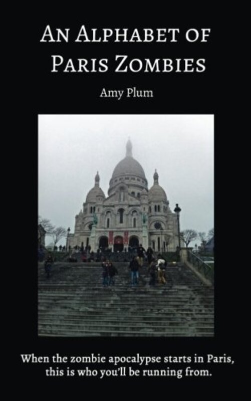 Amy Plum book cover