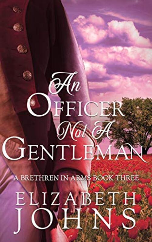 Book cover for "An Officer, Not a Gentleman" by Elizabeth Johns