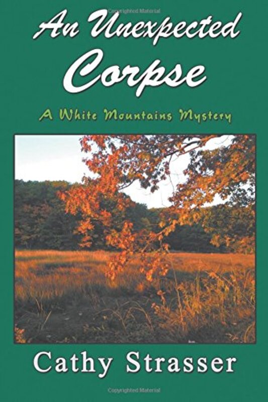 Cathy Strasser book cover
