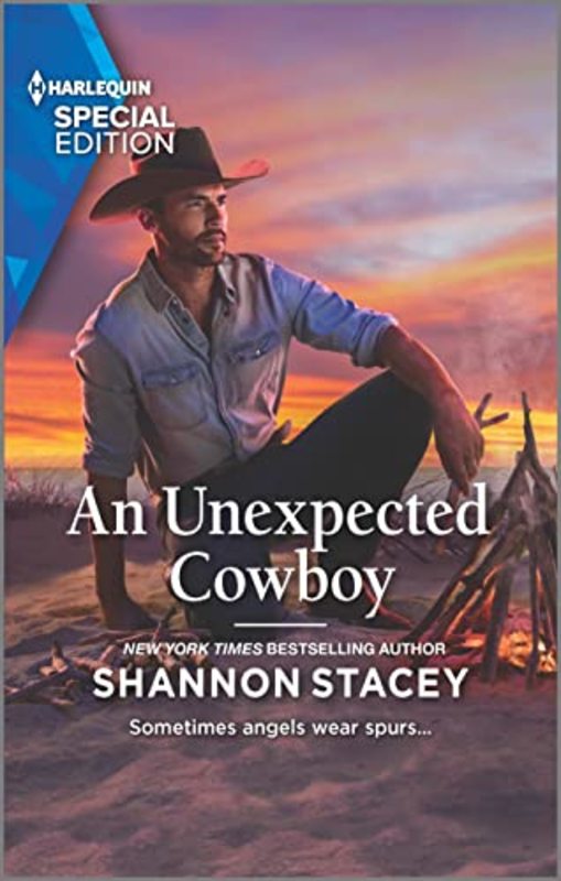 Shannon Stacey book cover