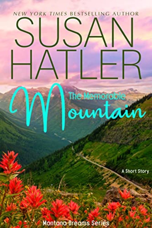 Book cover for "An Unexpected Proposal" by Susan Hatler