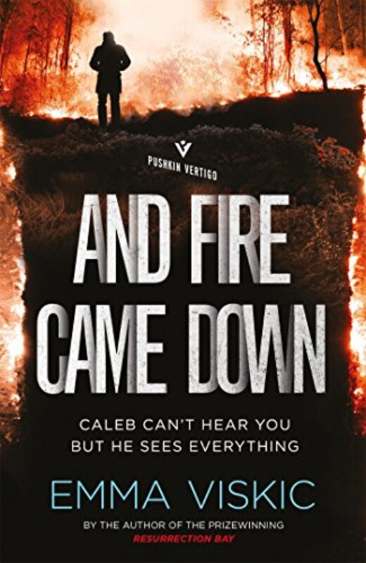 Emma Viskic book cover