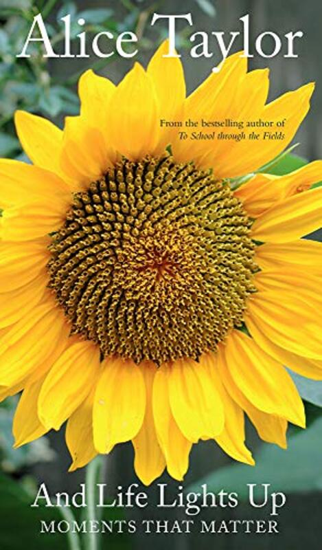 Book cover for "And Life Lights Up" by Alice Taylor