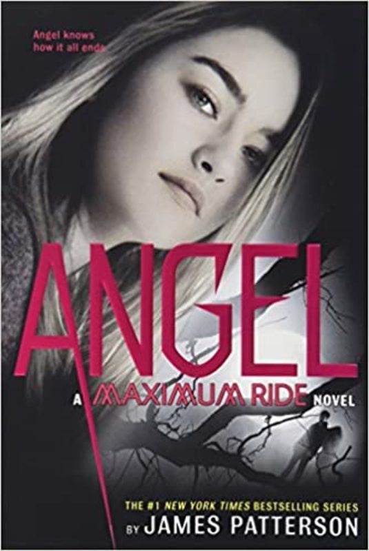Maximum Ride book cover