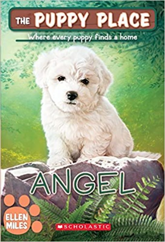 Book cover for "Angel" by Ellen Miles