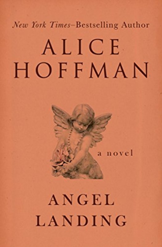 Book cover for "Angel Landing" by Alice Hoffman