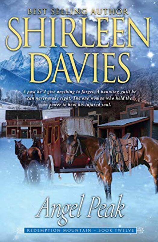 Book cover for "Angel Peak" by Shirleen Davies