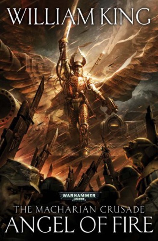 Book cover for "Angel of Fire" by William King