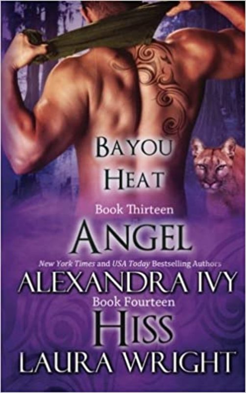 Book cover for "Angel/Hiss" by Laura Wright