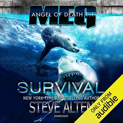 MEG book cover