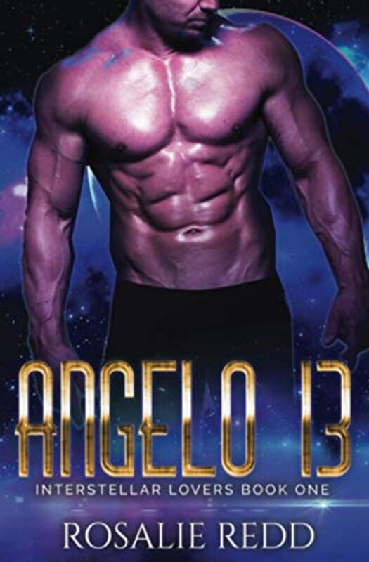 Book cover for "Angelo 13" by Rosalie Redd