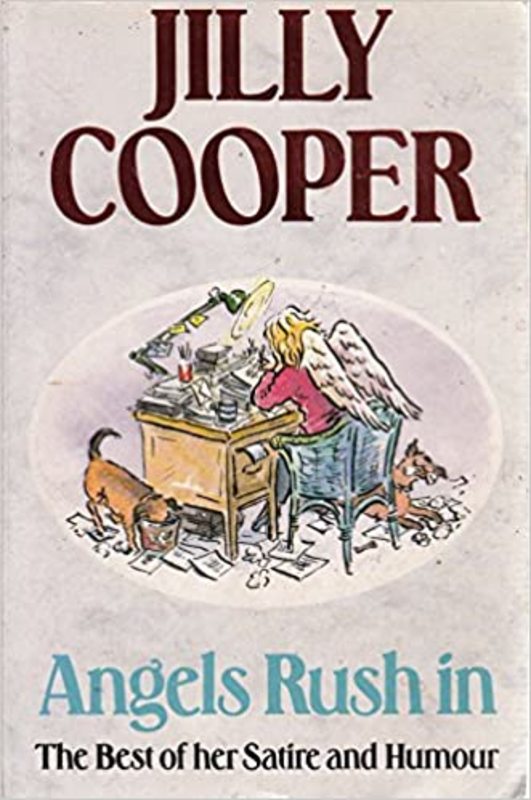 Book cover for "Angels Rush In" by Jilly Cooper