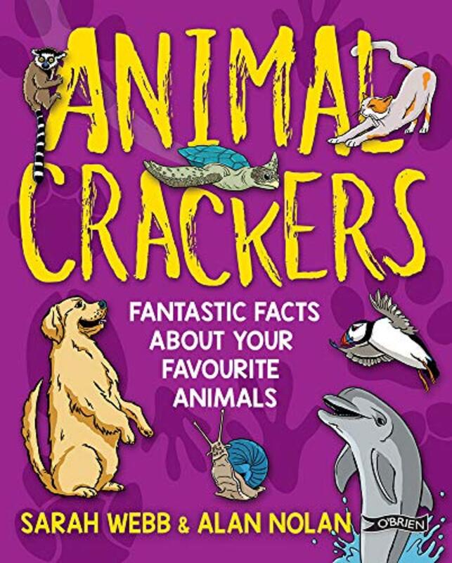Sarah Webb book cover