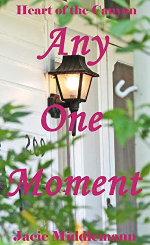 Book cover for "Any One Moment" by Jacie Middlemann
