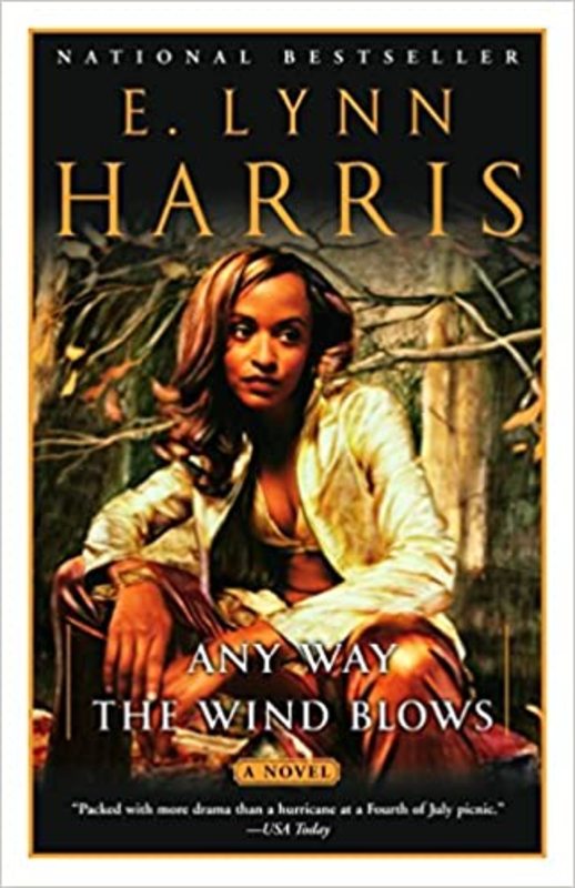 Book cover for "Any Way the Wind Blows" by E. Lynn Harris