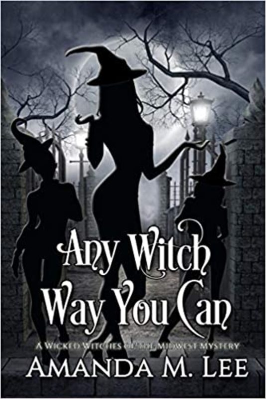 Book cover for "Any Witch Way You Can" by Amanda M Lee