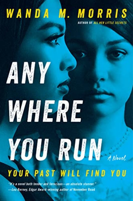Book cover for "Anywhere You Run" by Wanda M Morris