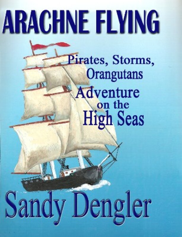 Book cover for "Arachne Flying" by Sandy Dengler