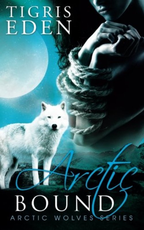 Book cover for "Arctic Bound" by Tigris Eden