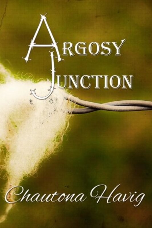 Book cover for "Argosy Junction" by Chautona Havig