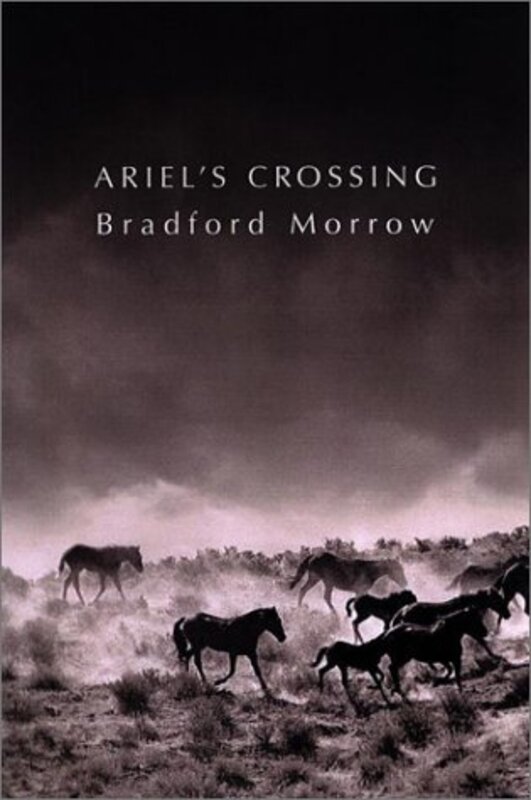 Book cover for "Ariel's Crossing" by Bradford Morrow