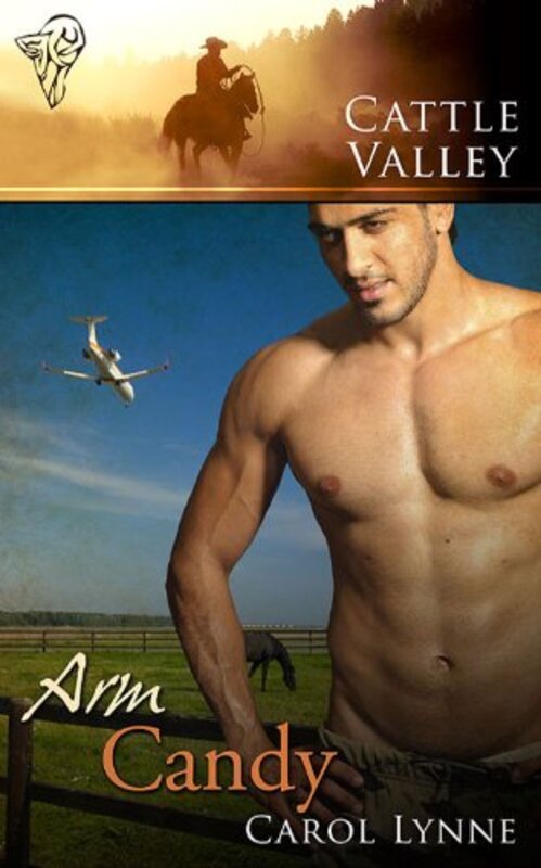 Book cover for "Arm Candy" by Carol Lynne