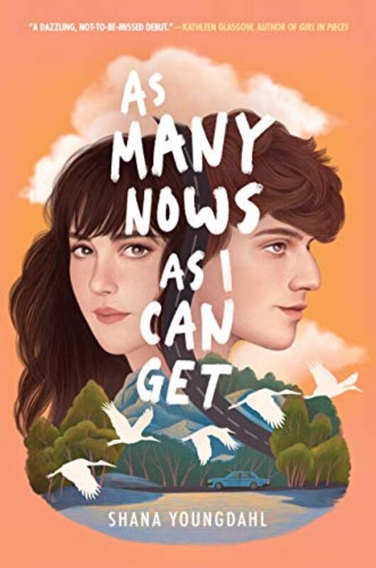 Shana Youngdahl book cover