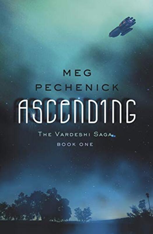 Meg Pechenick book cover