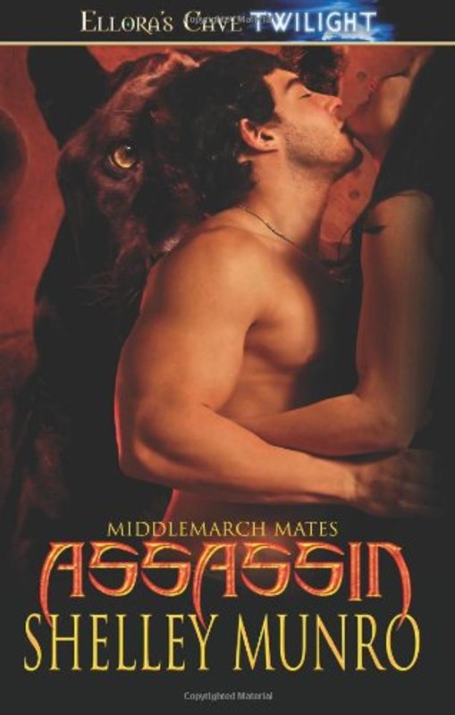 Book cover for "Assassin" by Shelley Munro