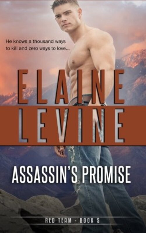 Book cover for "Assassin's Promise" by Elaine Levine