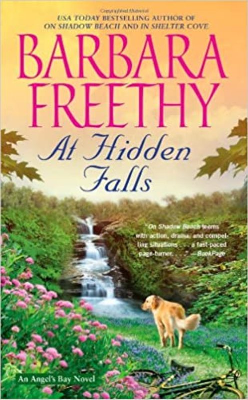 Angel's Bay book cover