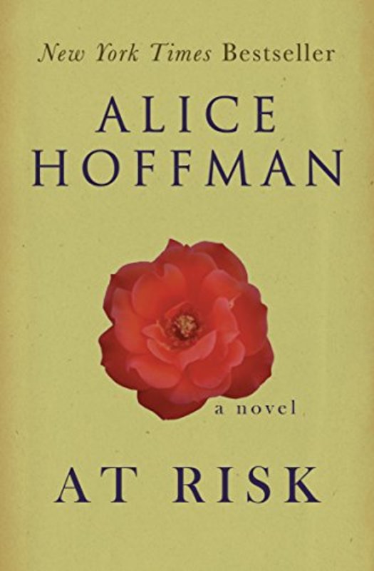 Book cover for "At Risk" by Alice Hoffman