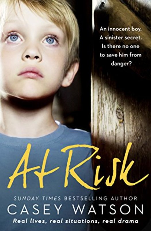 Book cover for "At Risk" by Casey Watson