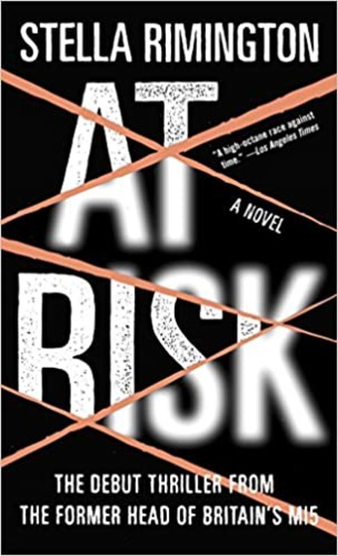 Book cover for "At Risk" by Stella Rimington