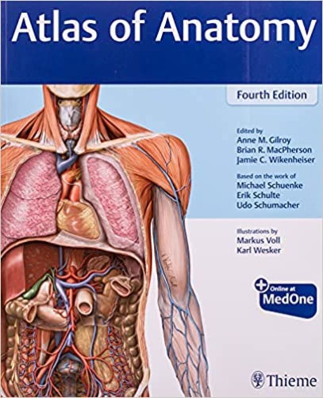 Book cover for "Atlas of Anatomy" by Anne M Gilroy