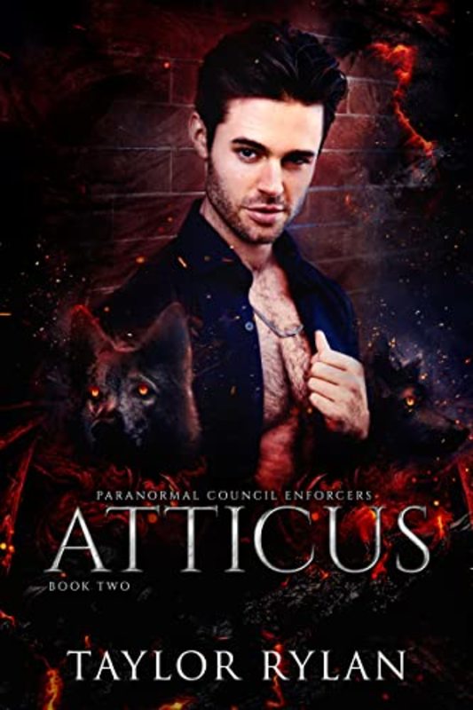 Taylor Rylan book cover