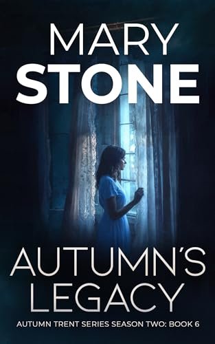 Mary Stone book cover